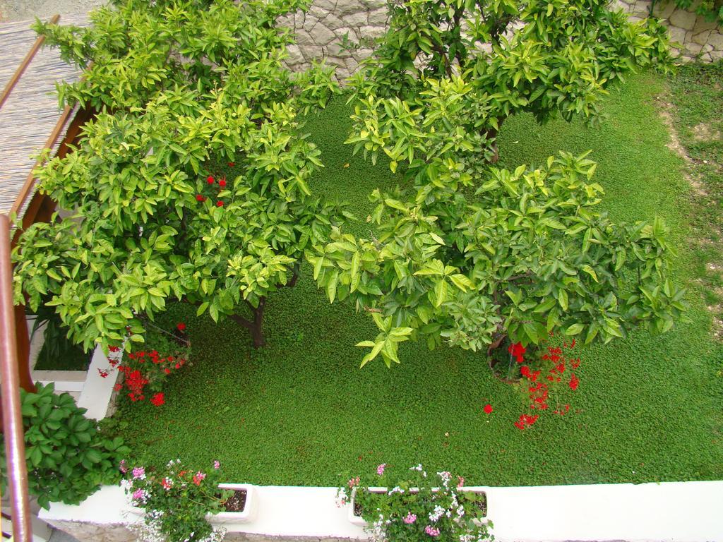 Apartments Villa Sunce Dugi Rat Dış mekan fotoğraf